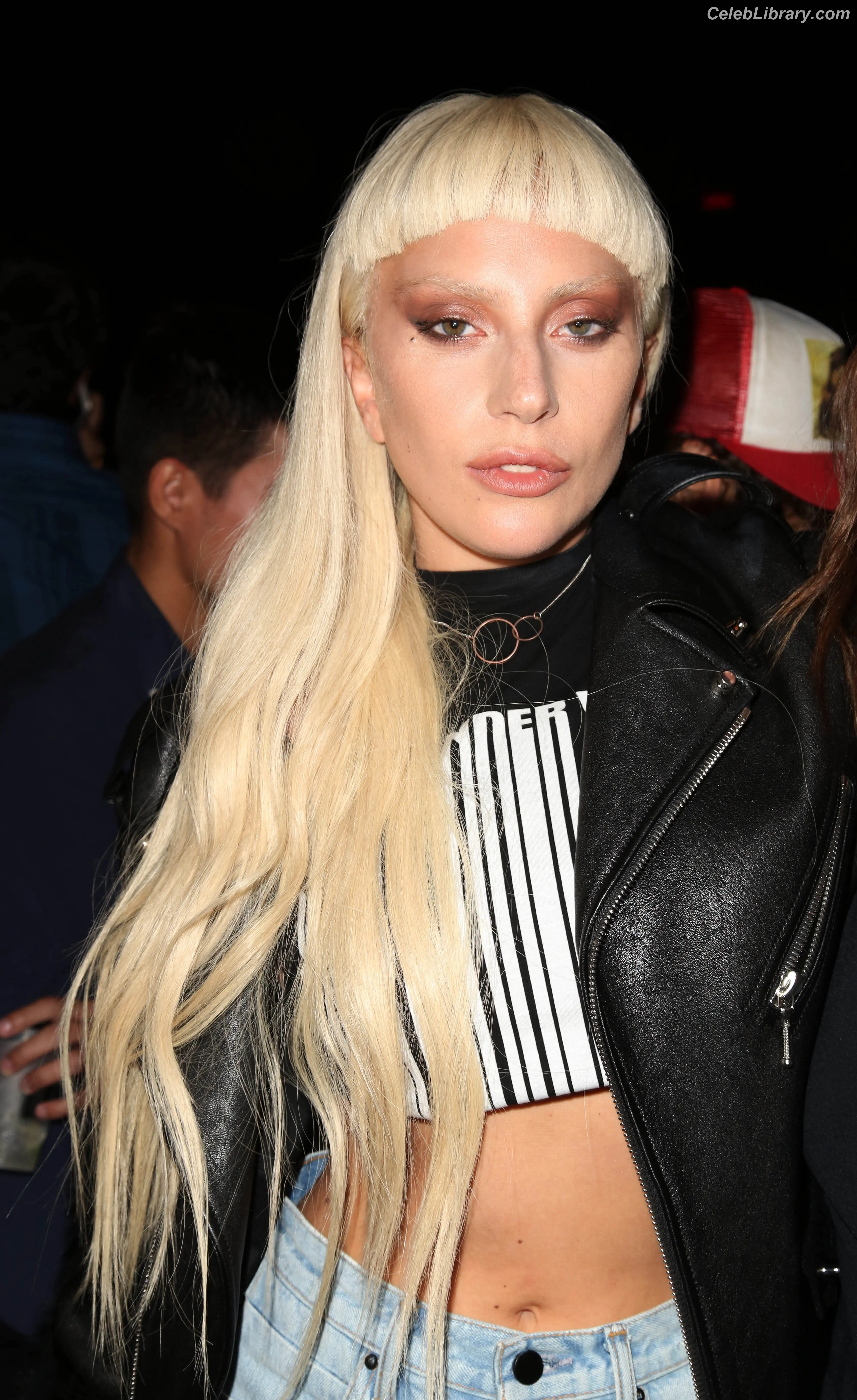 Lady Gaga photo 6 of 3664