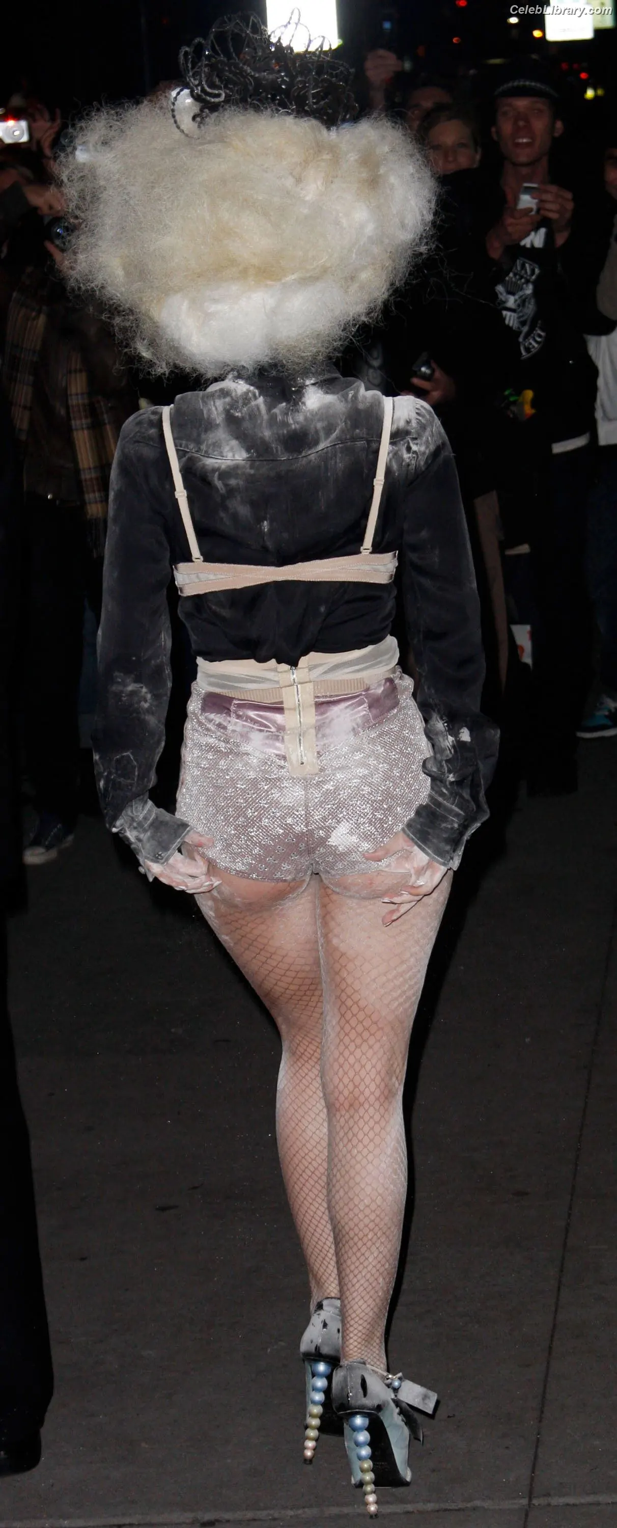 Lady Gaga photo 15 of 3664
