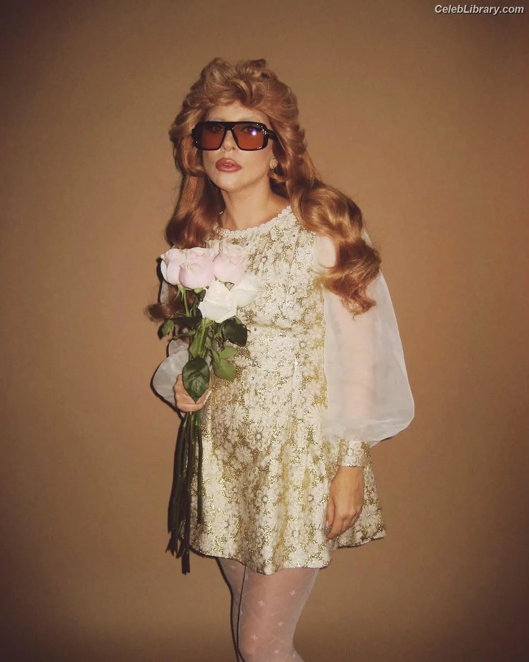 Lady Gaga photo 8 of 3664