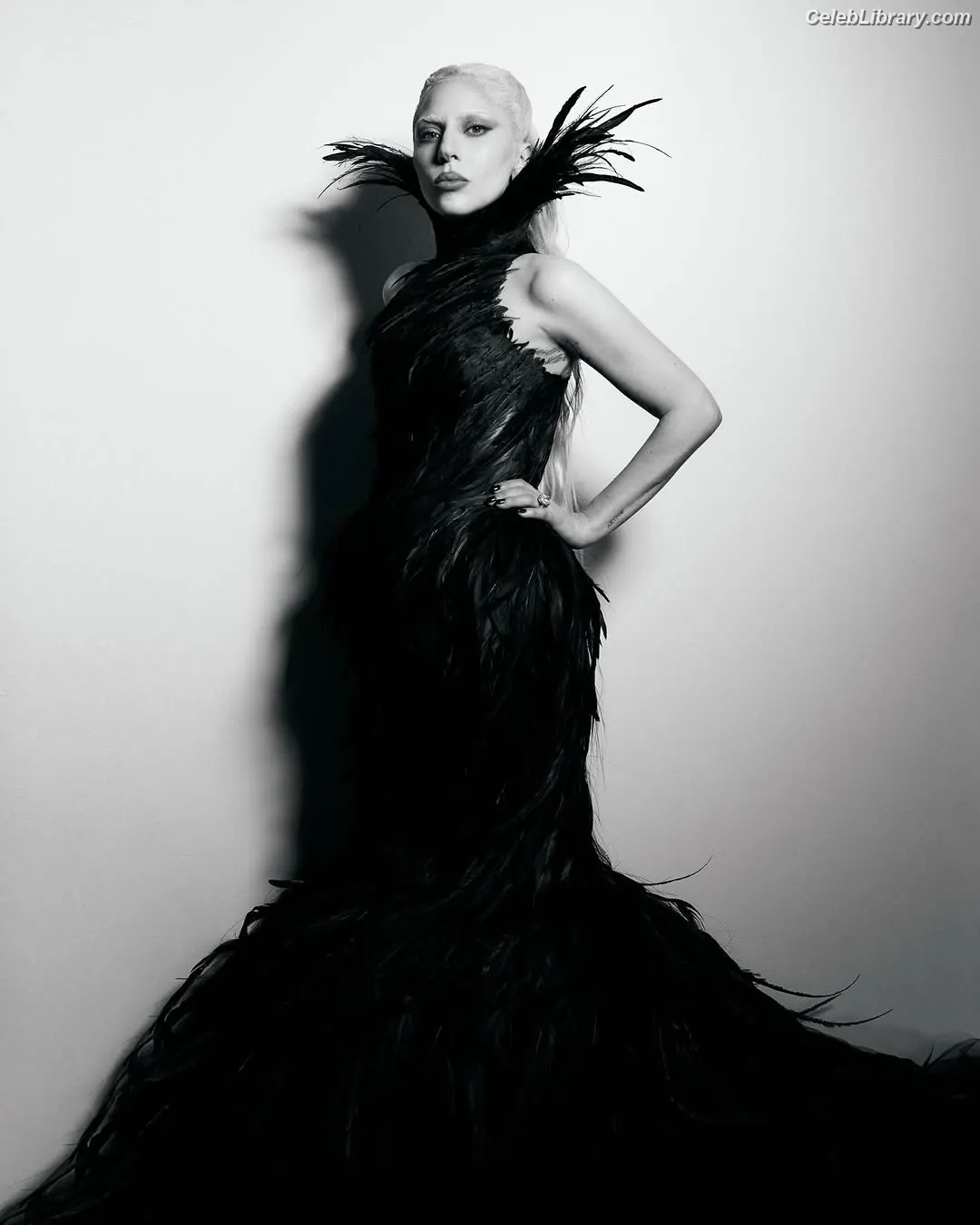 Lady Gaga photo 17 of 3664