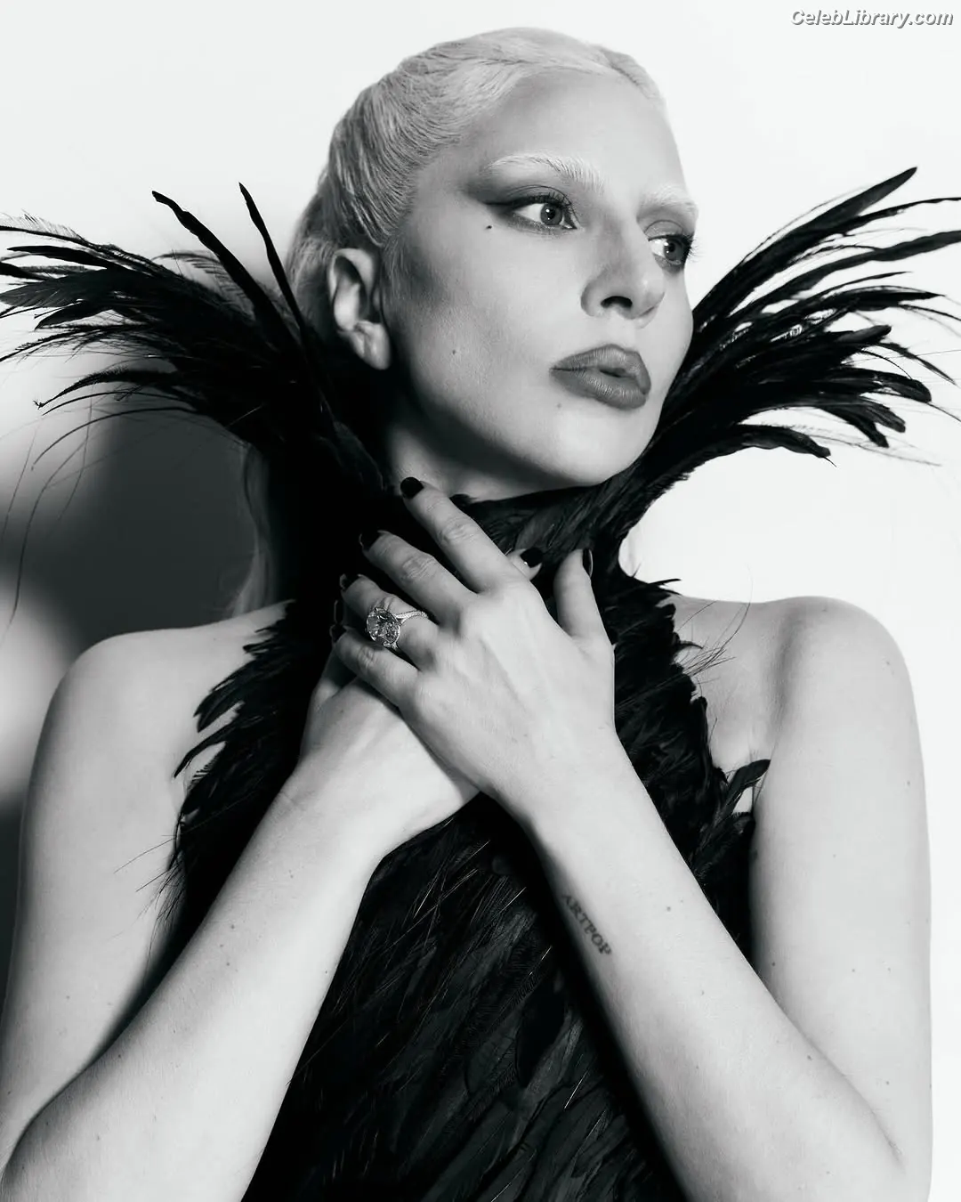 Lady Gaga photo 22 of 3664