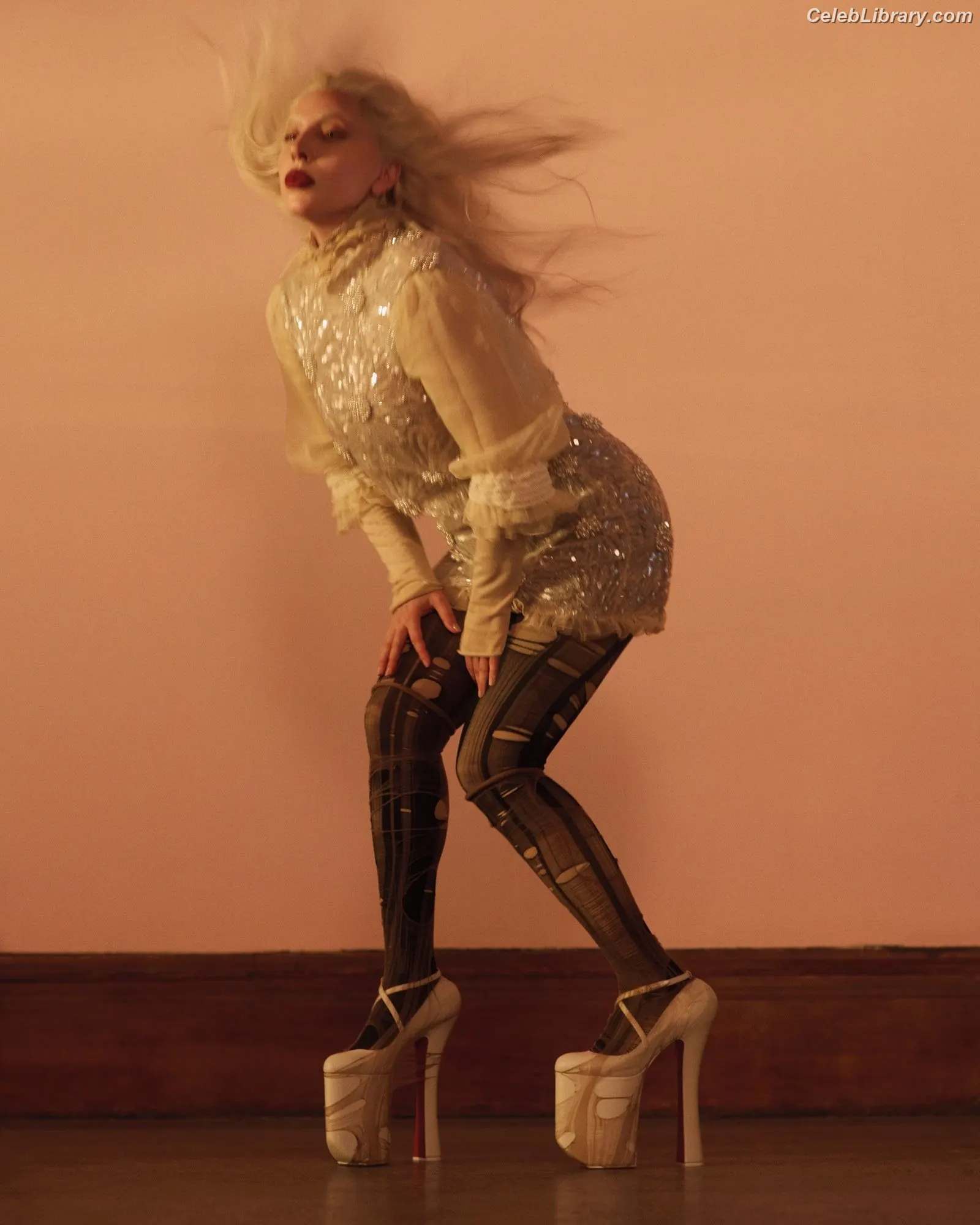 Lady Gaga photo 17 of 3664