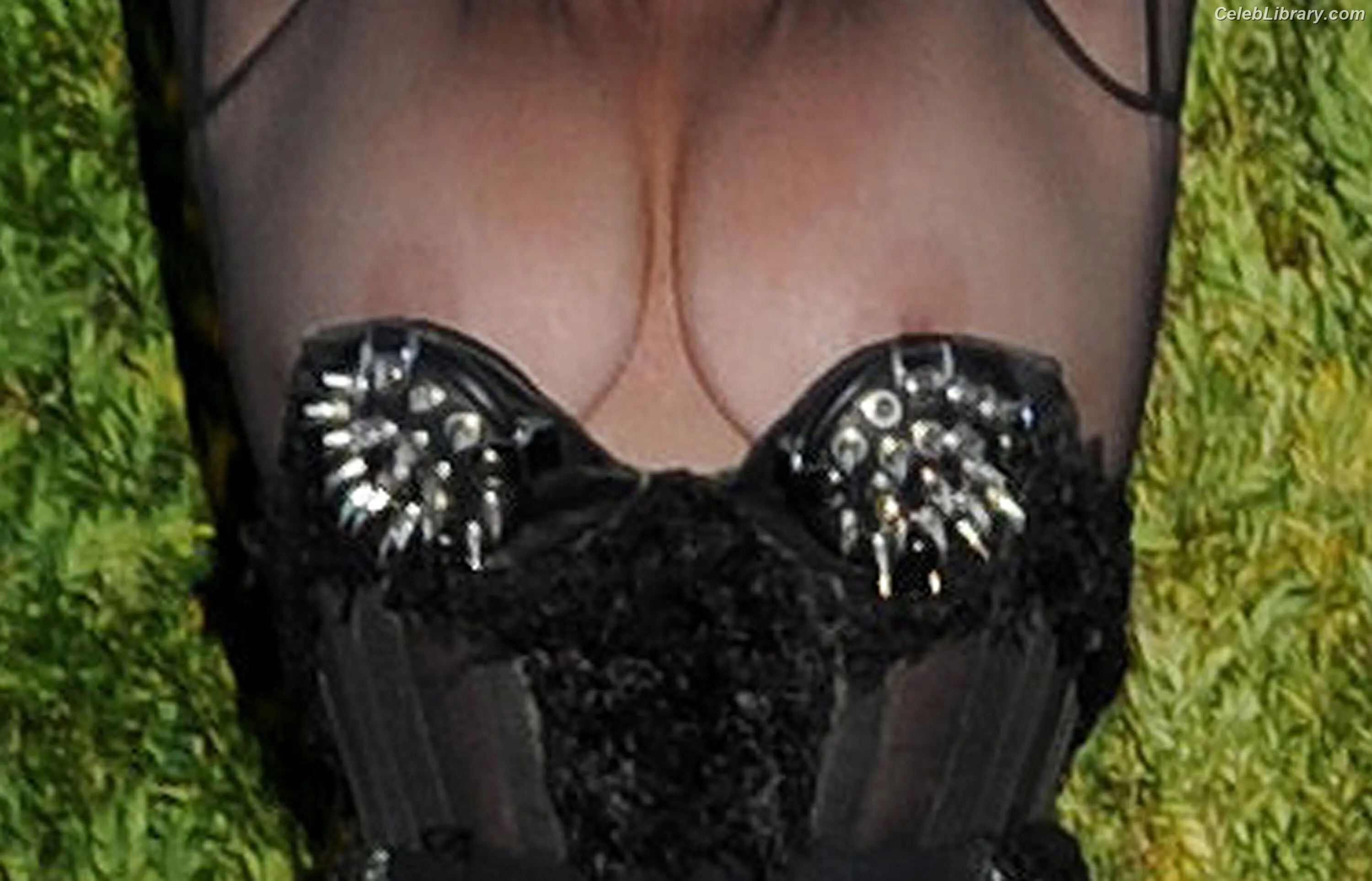 Lady Gaga photo 20 of 3664