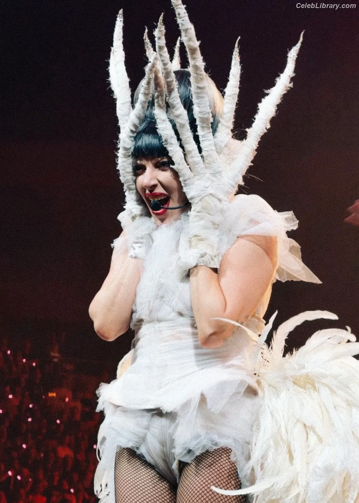 Lady Gaga photo 15 of 3664