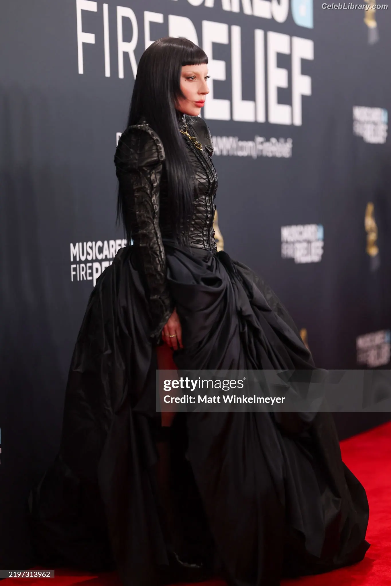 Lady Gaga photo 15 of 3664