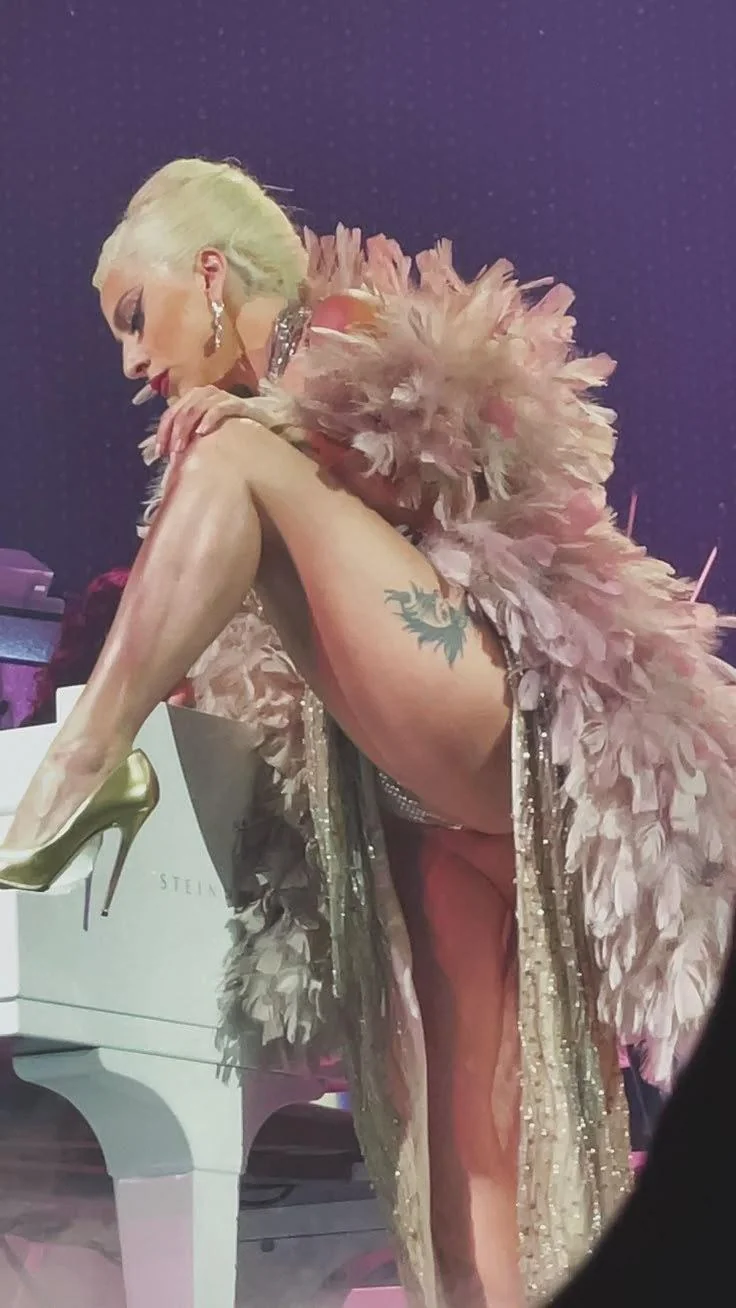 Lady Gaga photo 12 of 3664