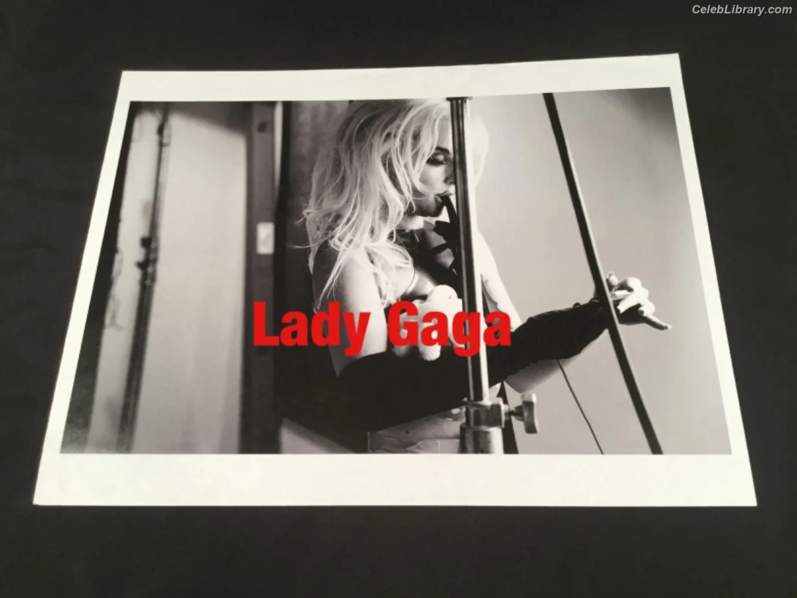 Lady Gaga photo 23 of 3664