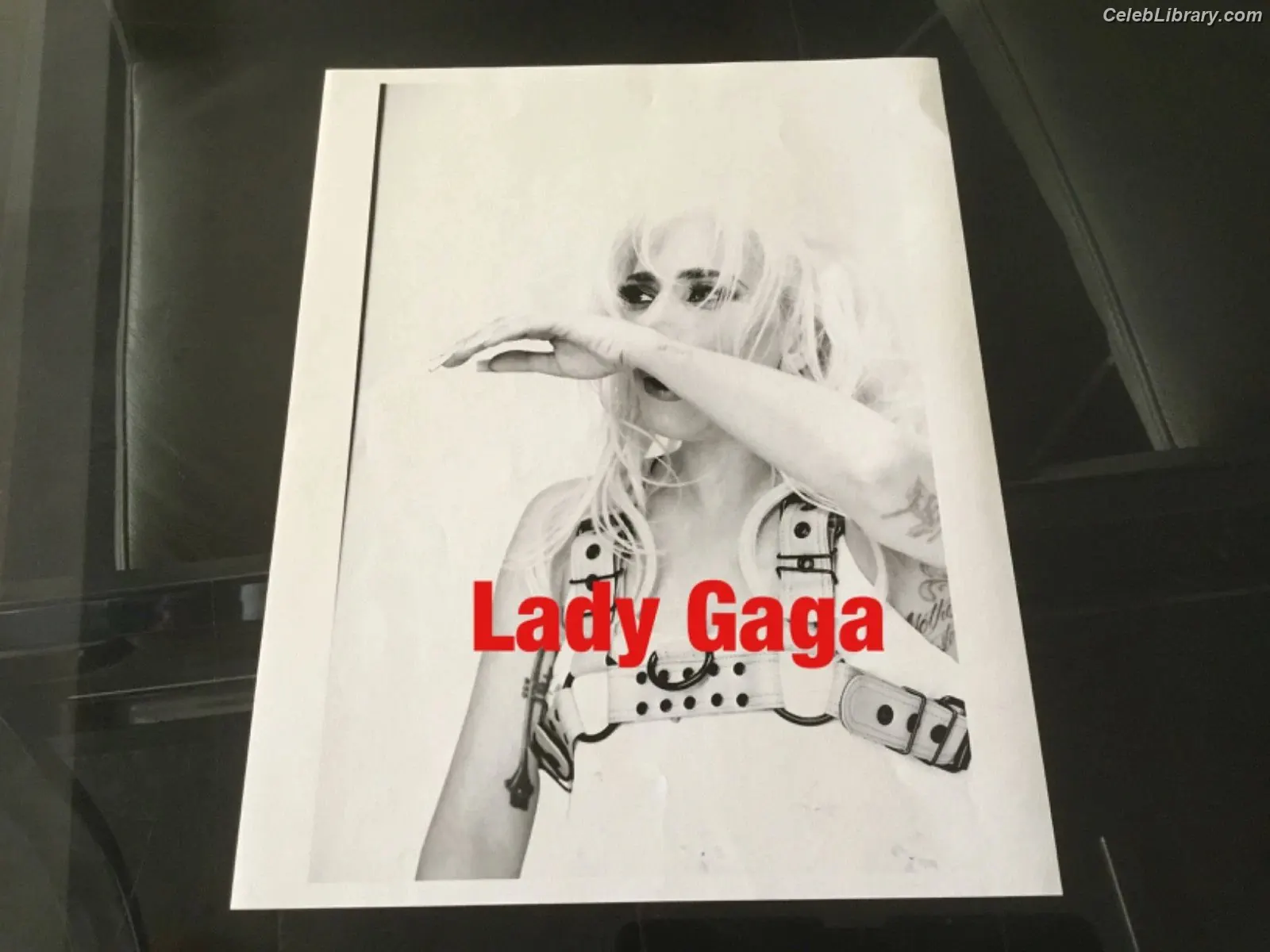 Lady Gaga photo 1 of 3664