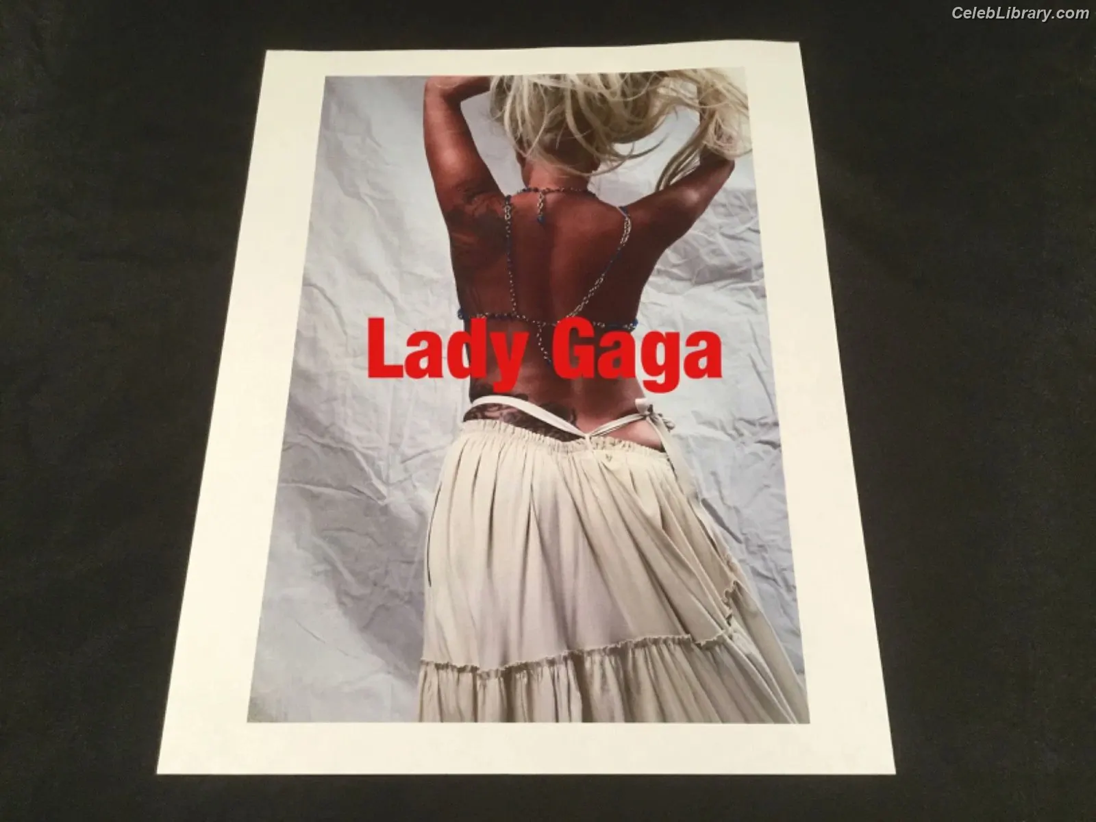 Lady Gaga photo 2 of 3664
