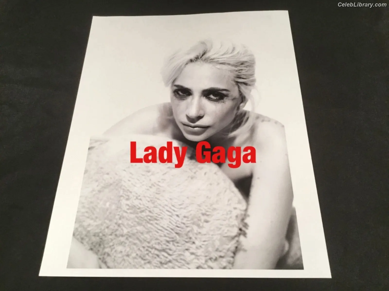 Lady Gaga photo 3 of 3664