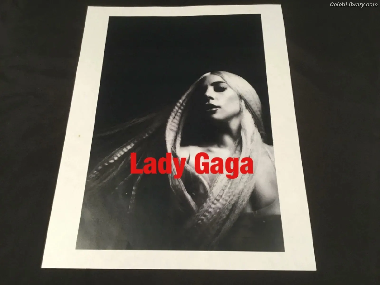 Lady Gaga photo 4 of 3664