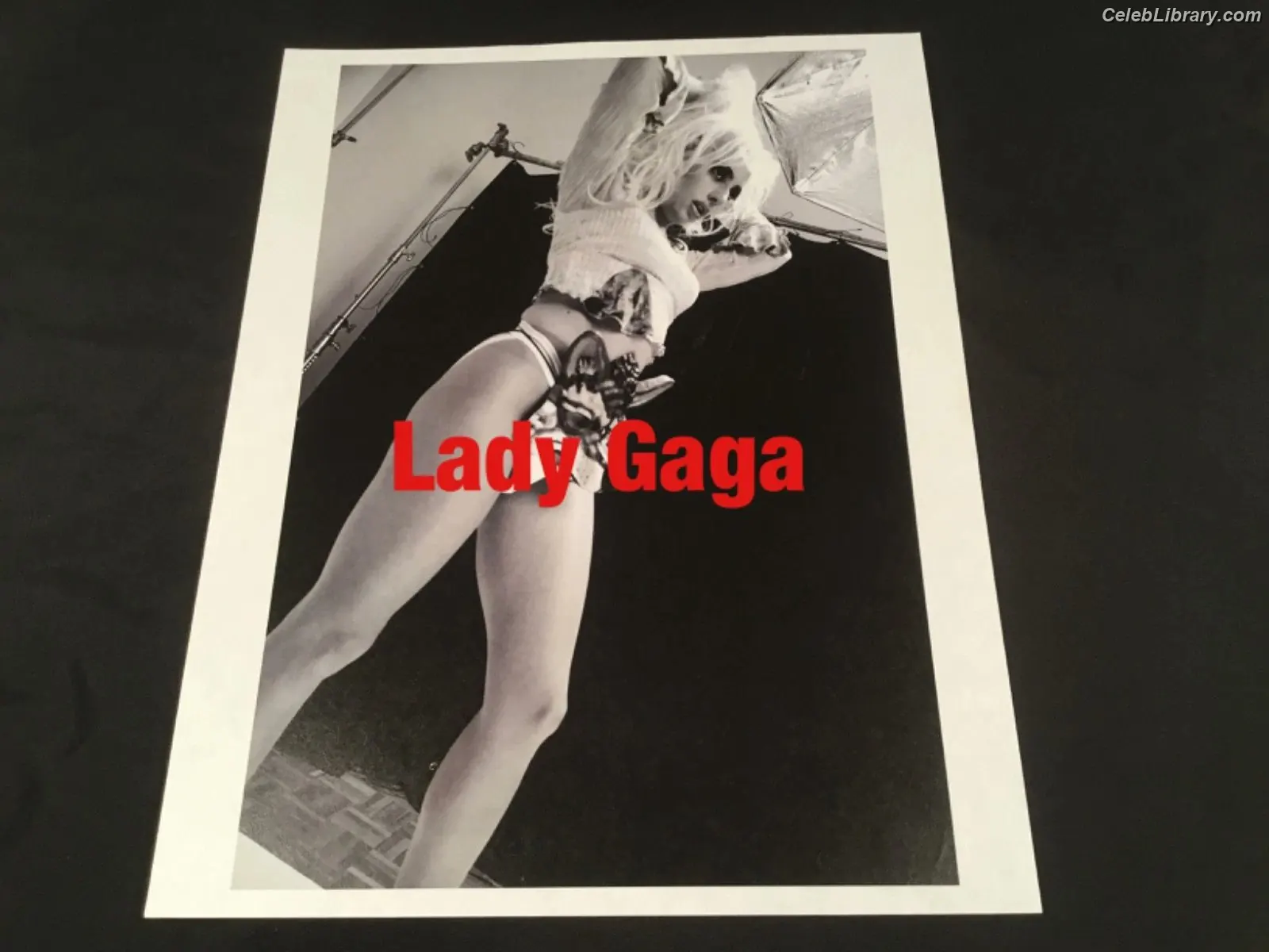Lady Gaga photo 5 of 3664