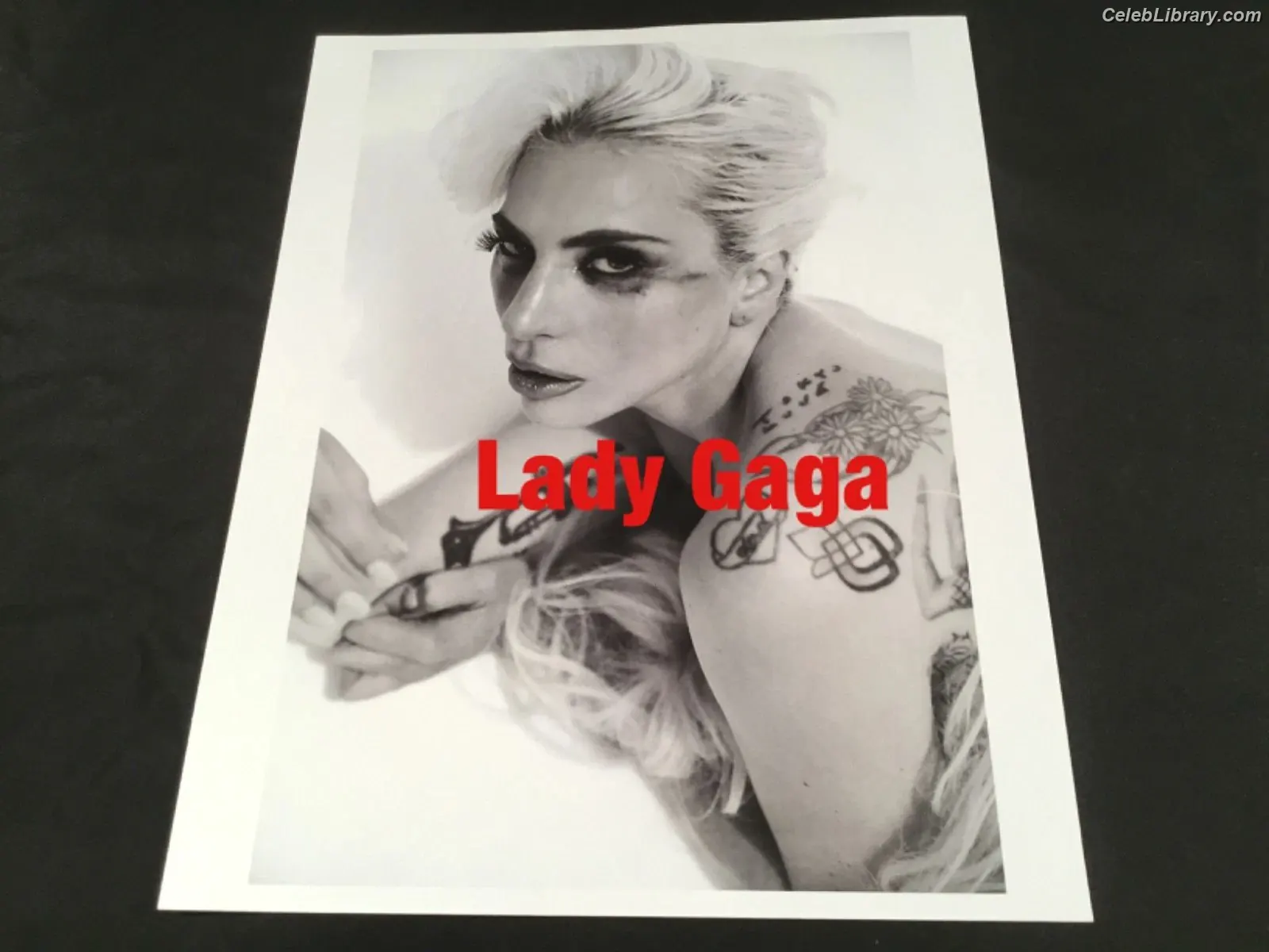Lady Gaga photo 7 of 3664