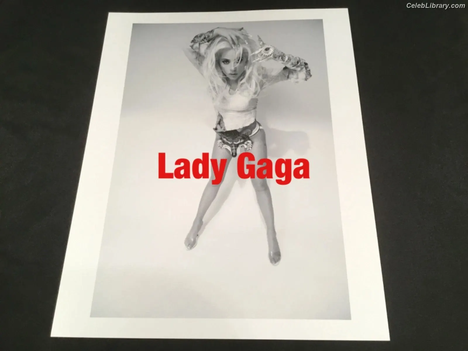 Lady Gaga photo 11 of 3664