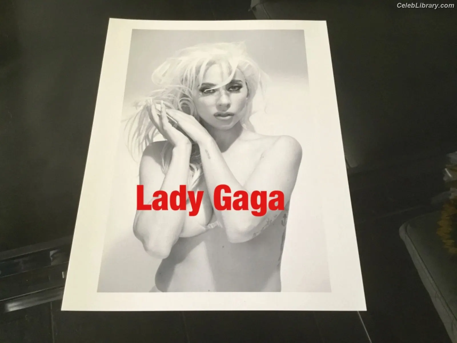 Lady Gaga photo 12 of 3664