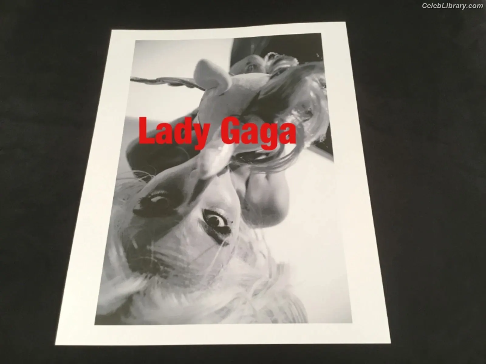 Lady Gaga photo 13 of 3664