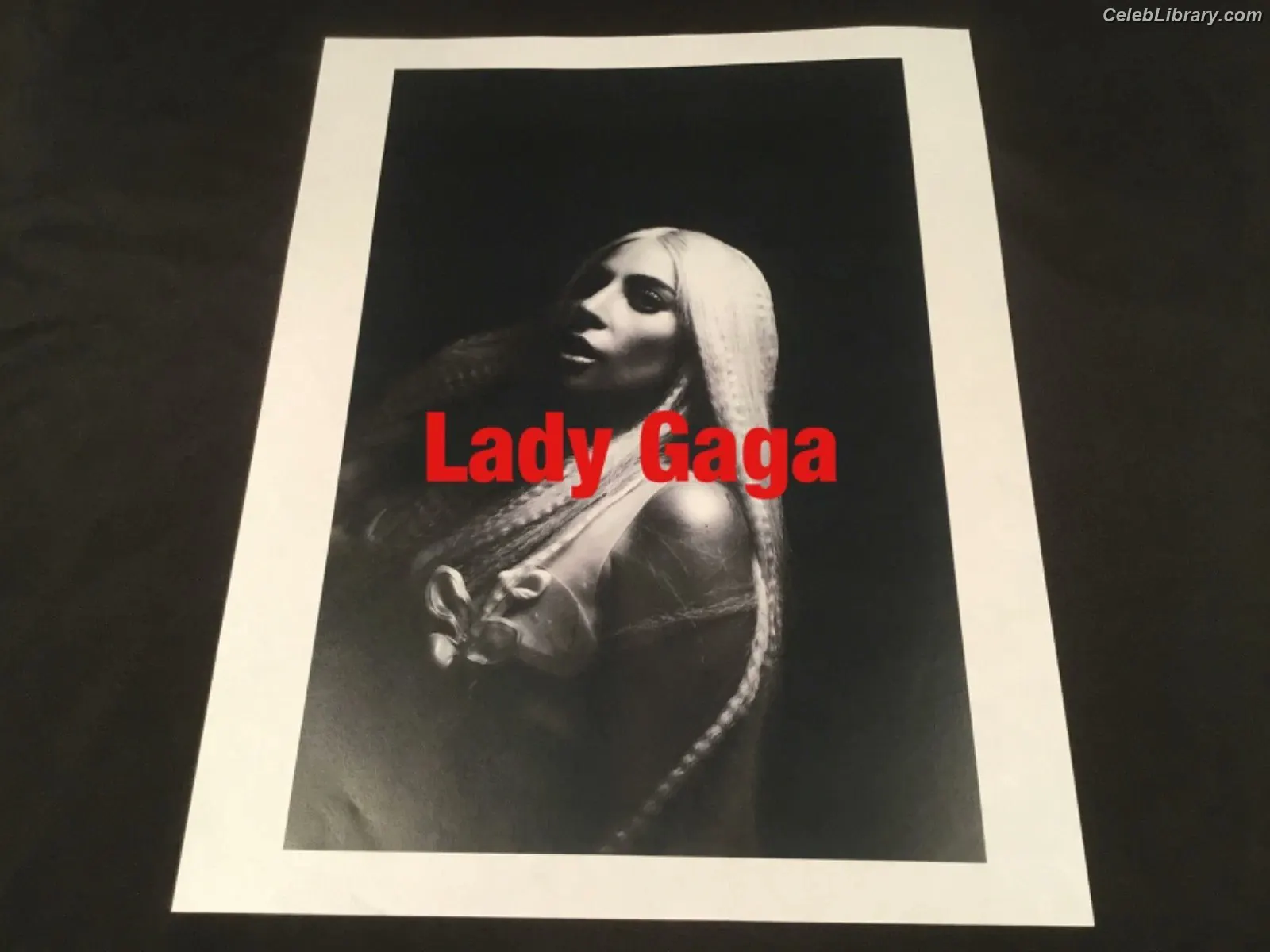 Lady Gaga photo 14 of 3664