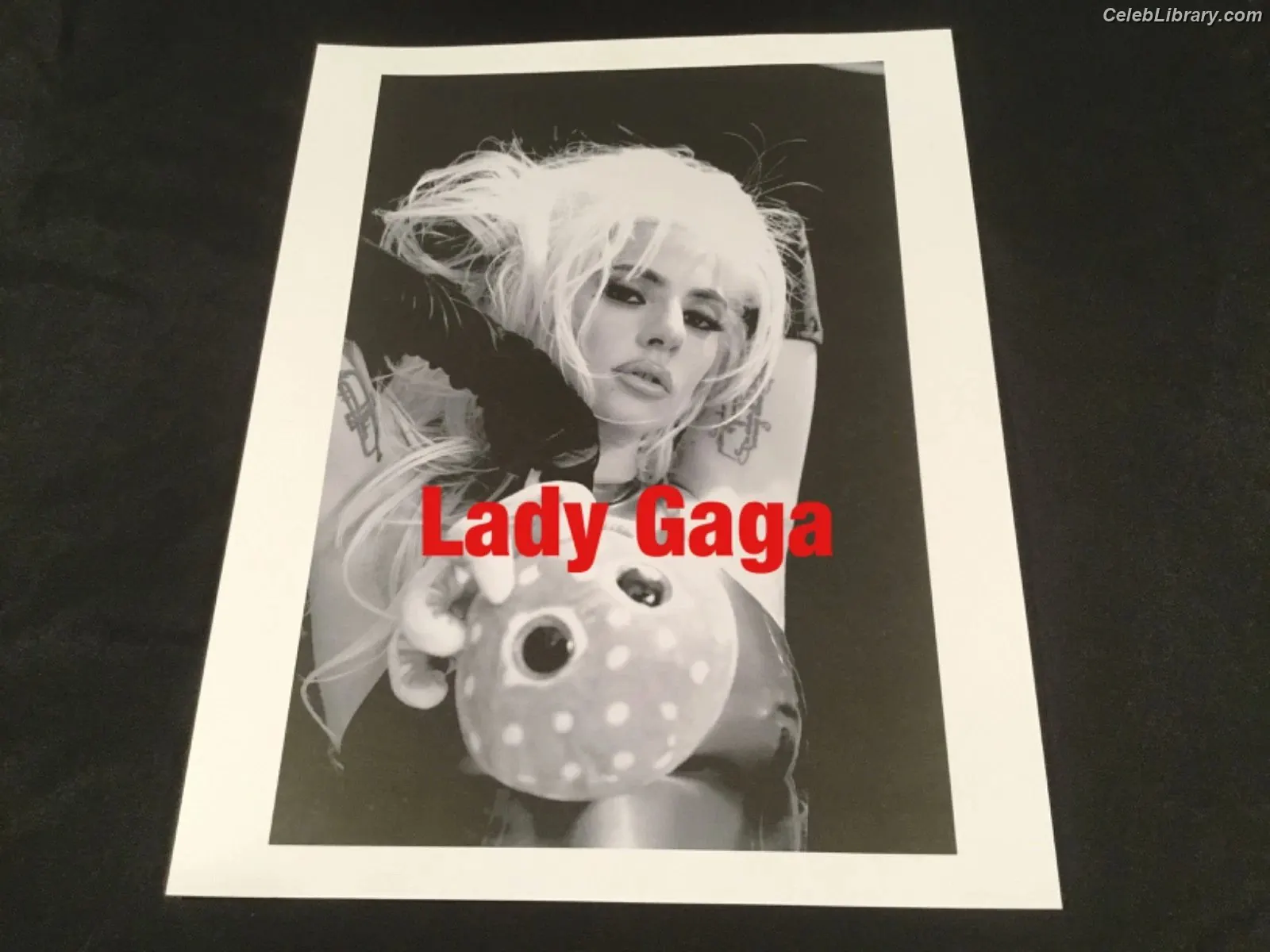 Lady Gaga photo 17 of 3664