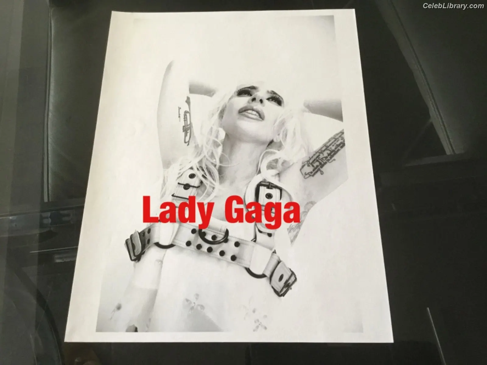 Lady Gaga photo 19 of 3664