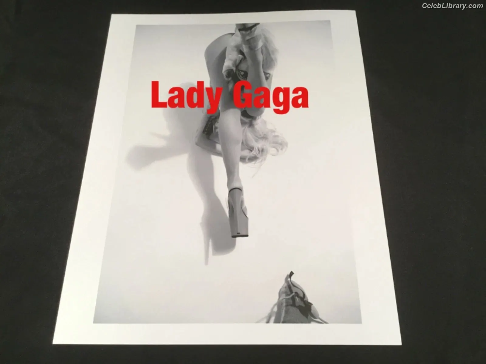 Lady Gaga photo 20 of 3664