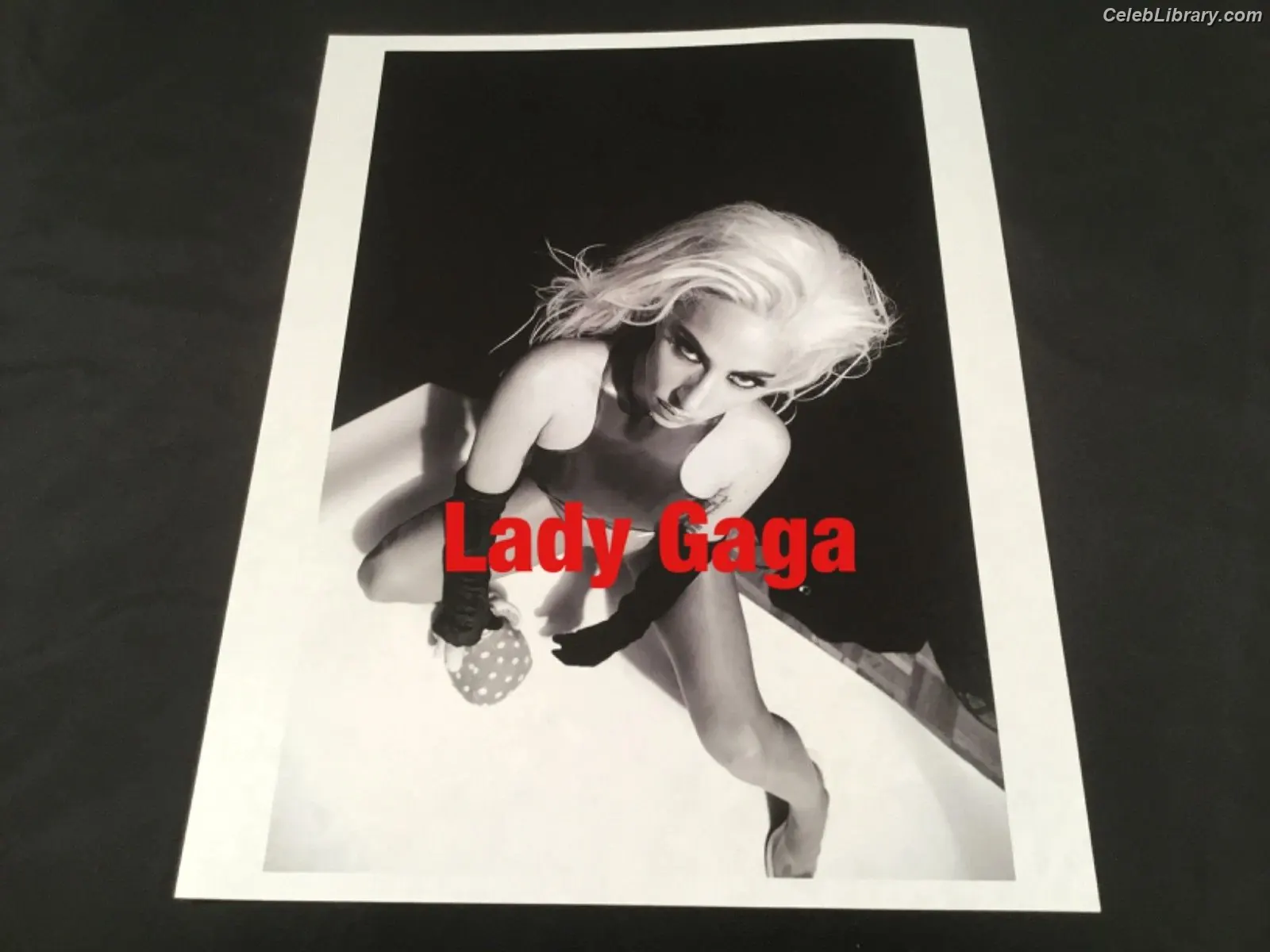 Lady Gaga photo 21 of 3664