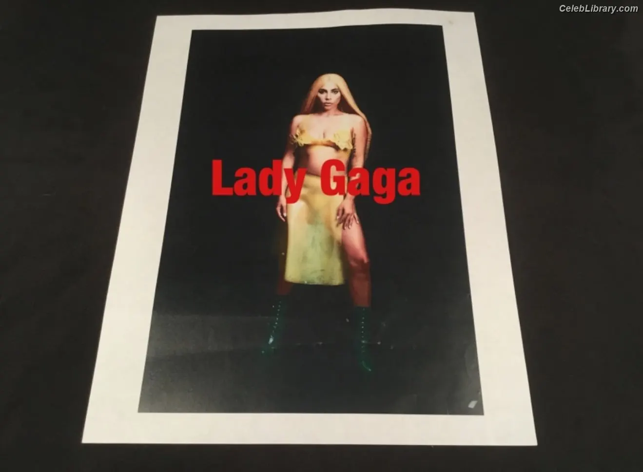 Lady Gaga photo 23 of 3664
