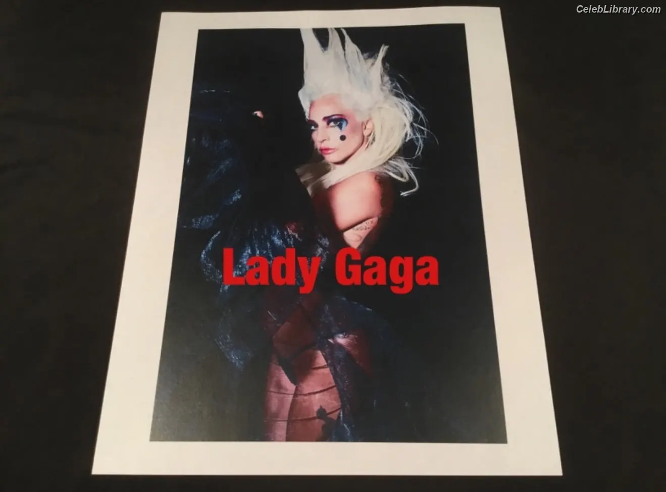 Lady Gaga photo 1 of 3664