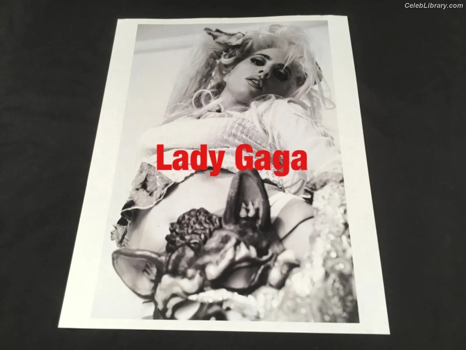 Lady Gaga photo 2 of 3664