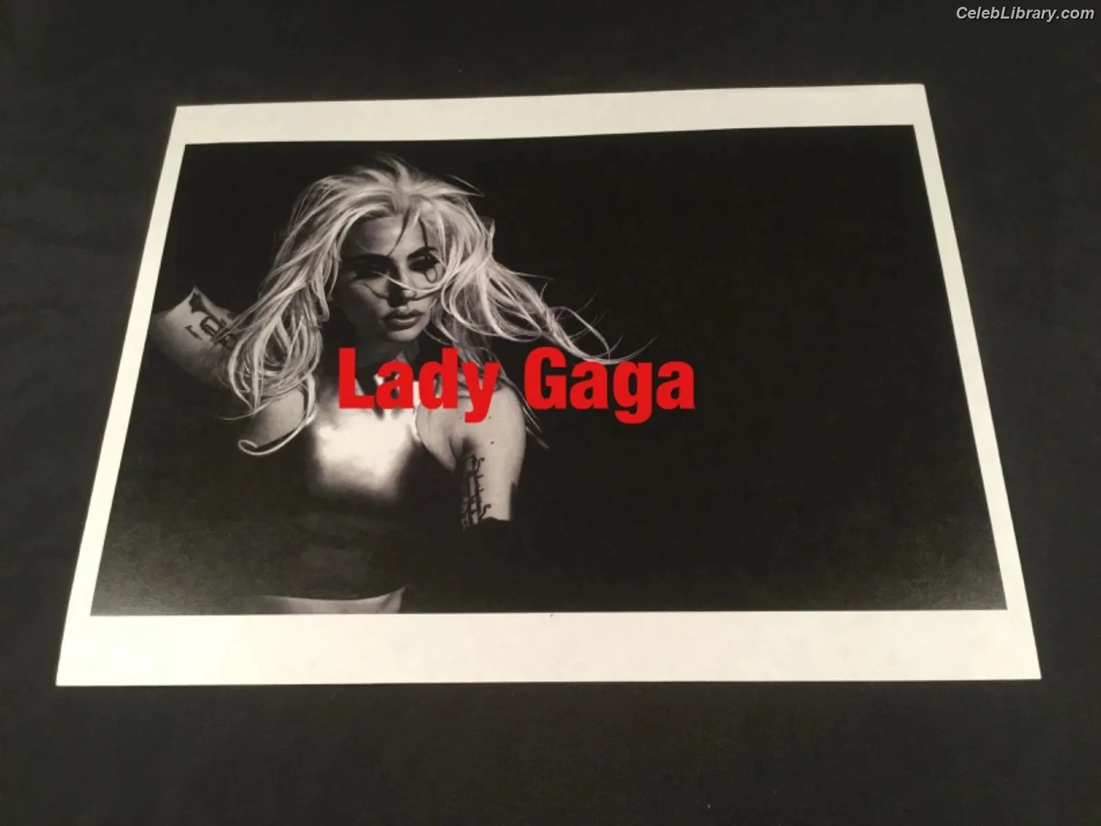 Lady Gaga photo 4 of 3664
