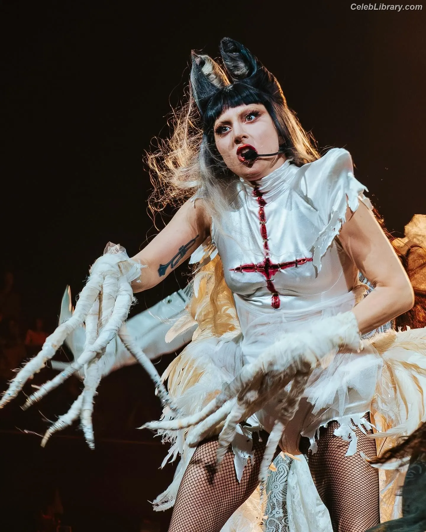 Lady Gaga photo 20 of 3664
