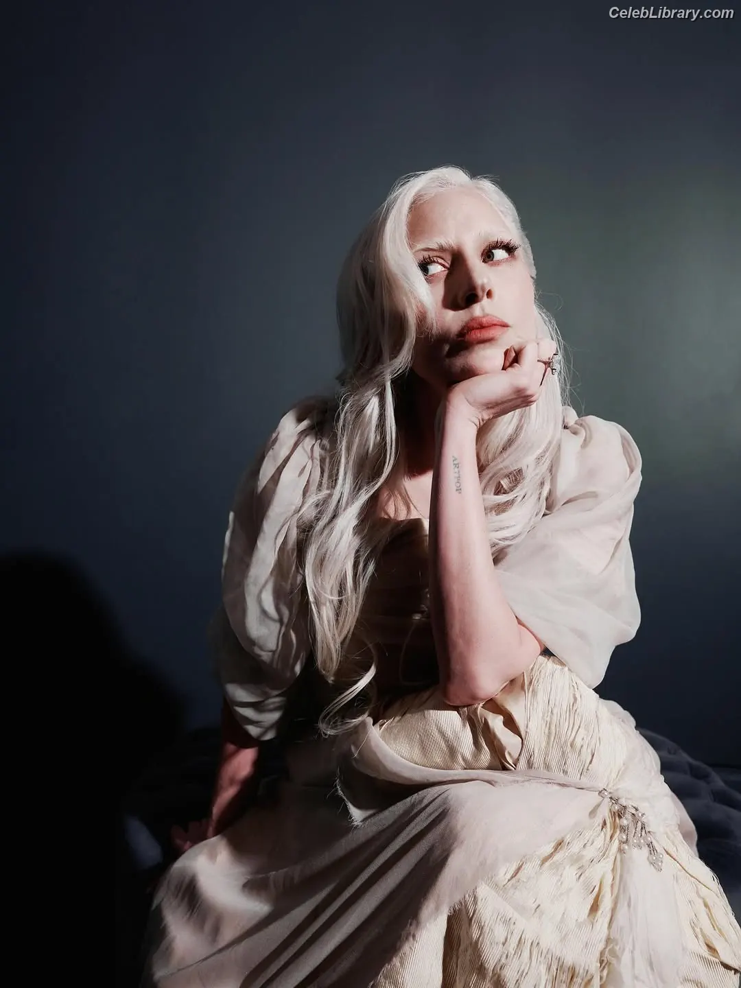 Lady Gaga photo 16 of 3664