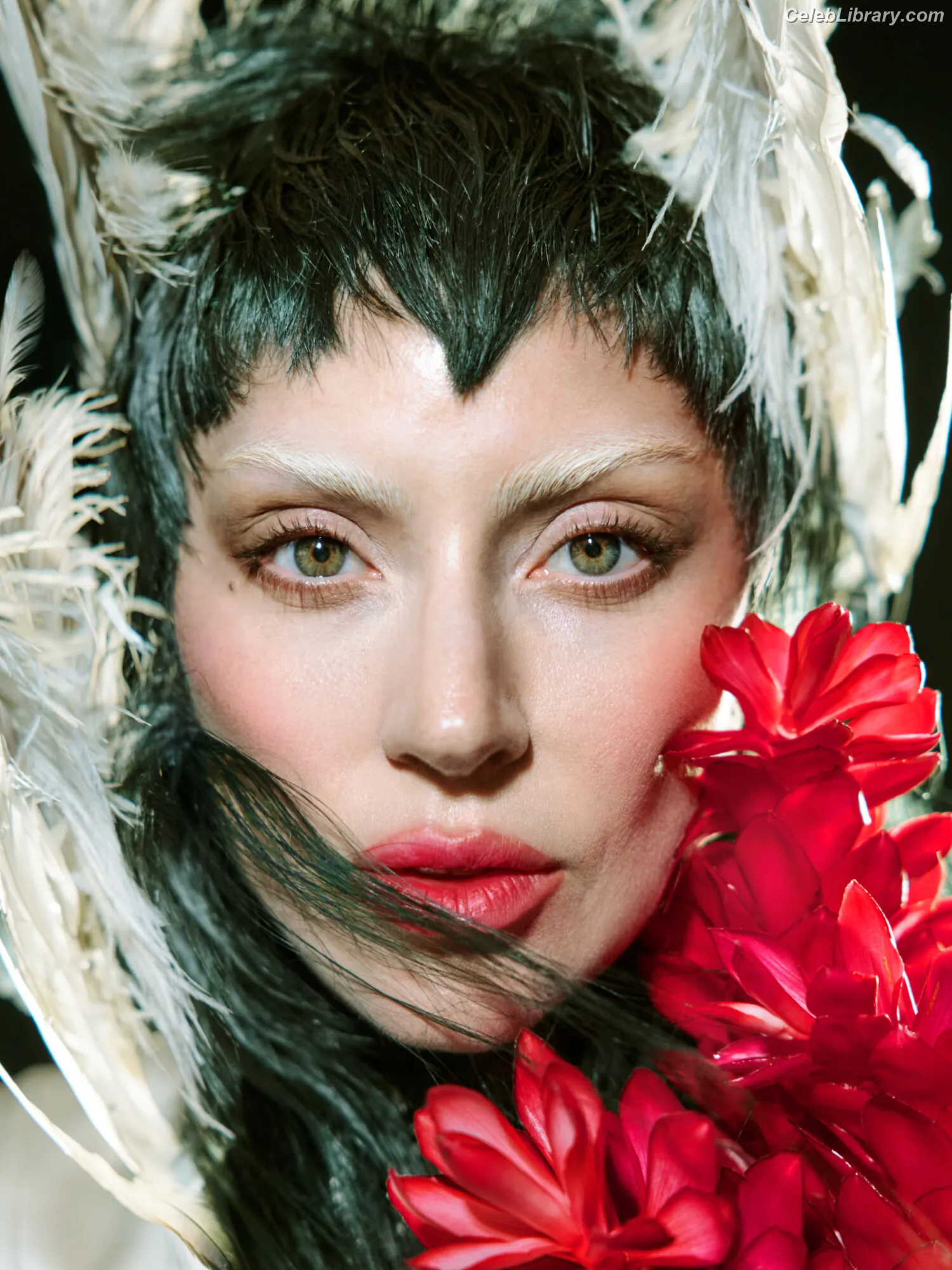 Lady Gaga photo 4 of 3664