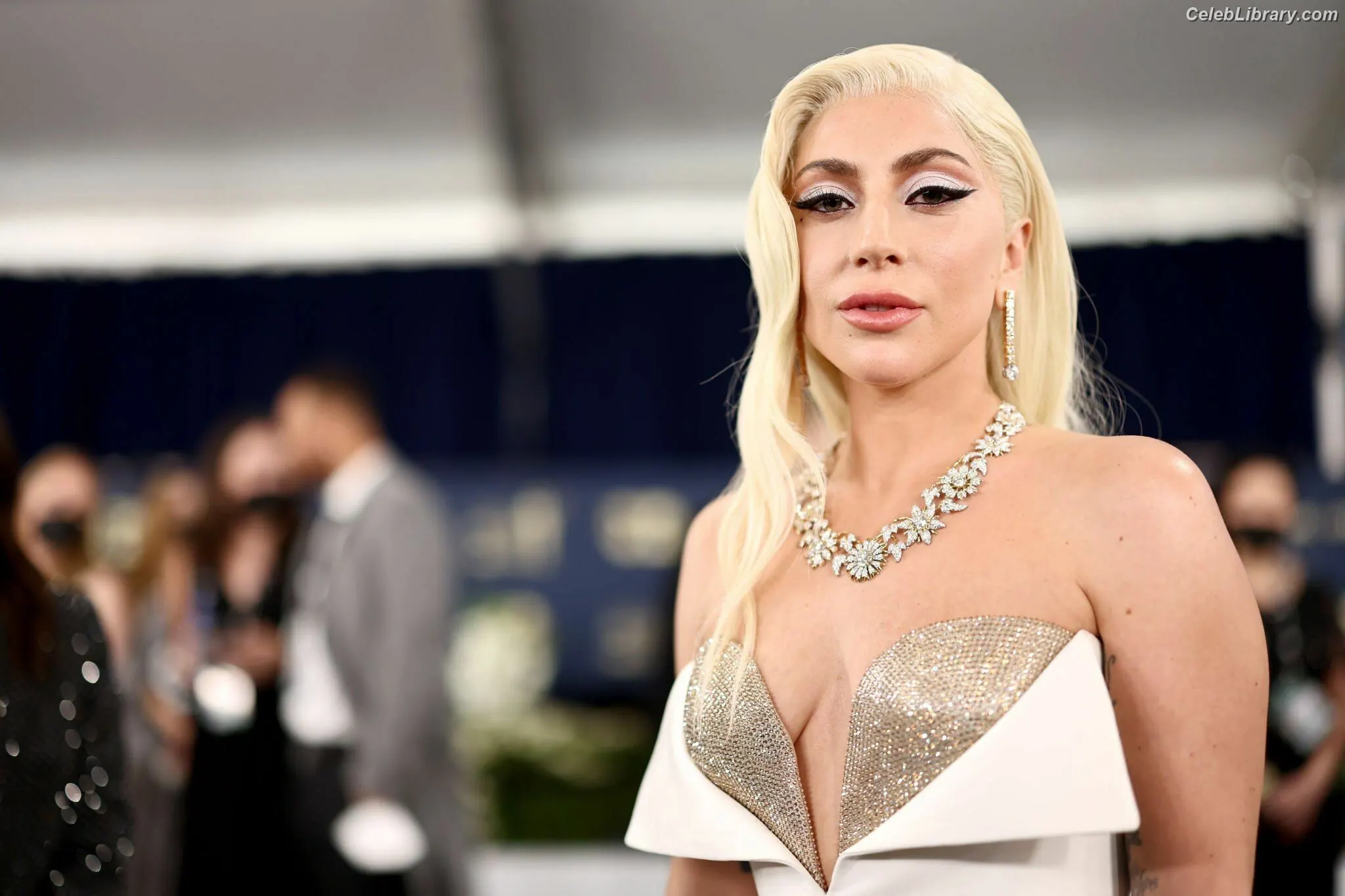 Lady Gaga photo 10 of 3664