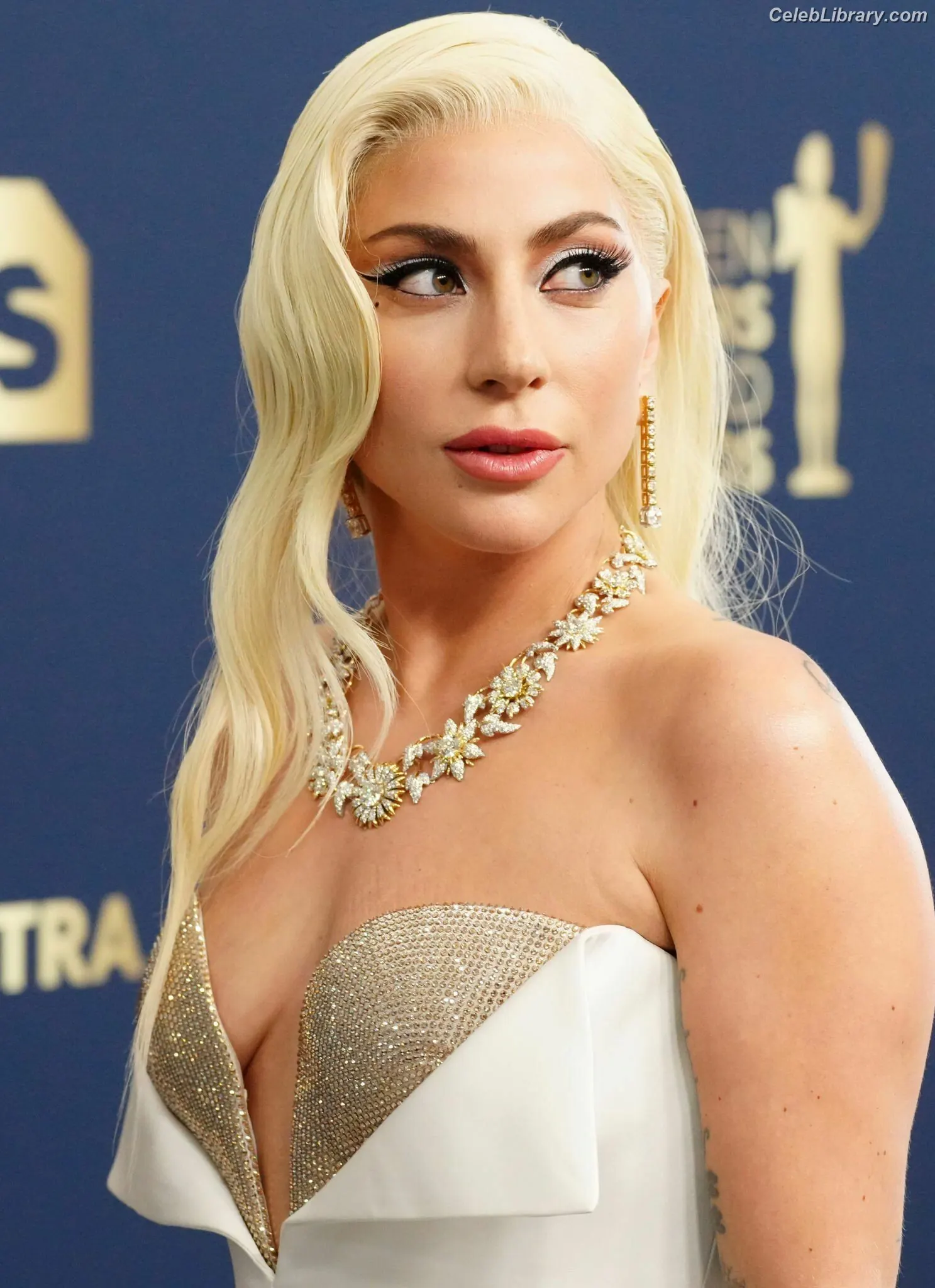 Lady Gaga photo 12 of 3664
