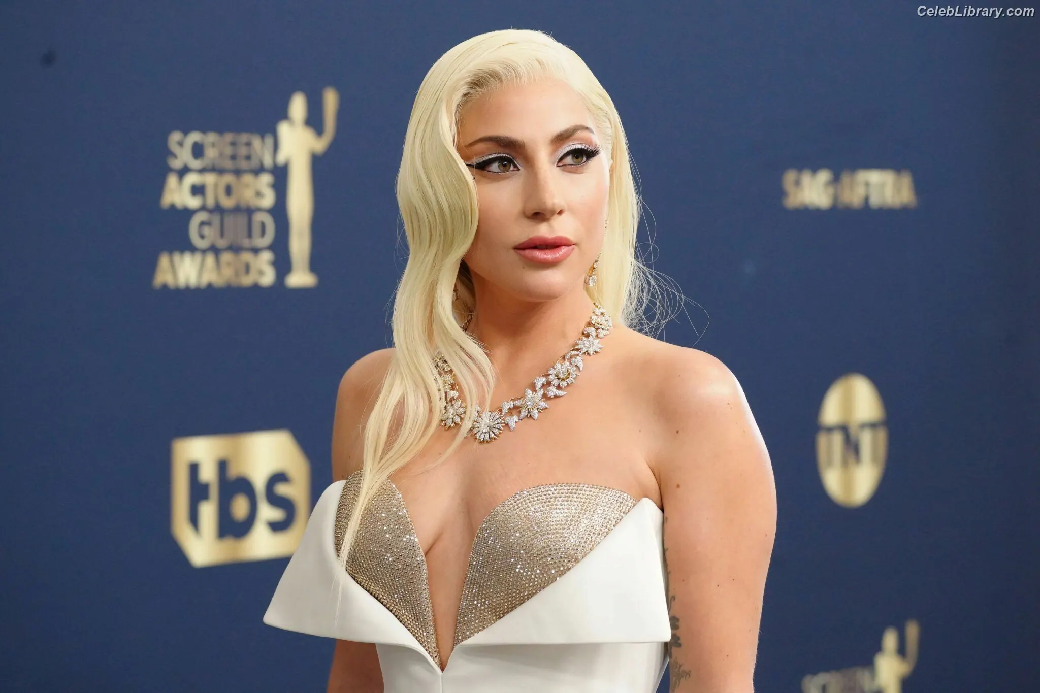Lady Gaga photo 22 of 3664