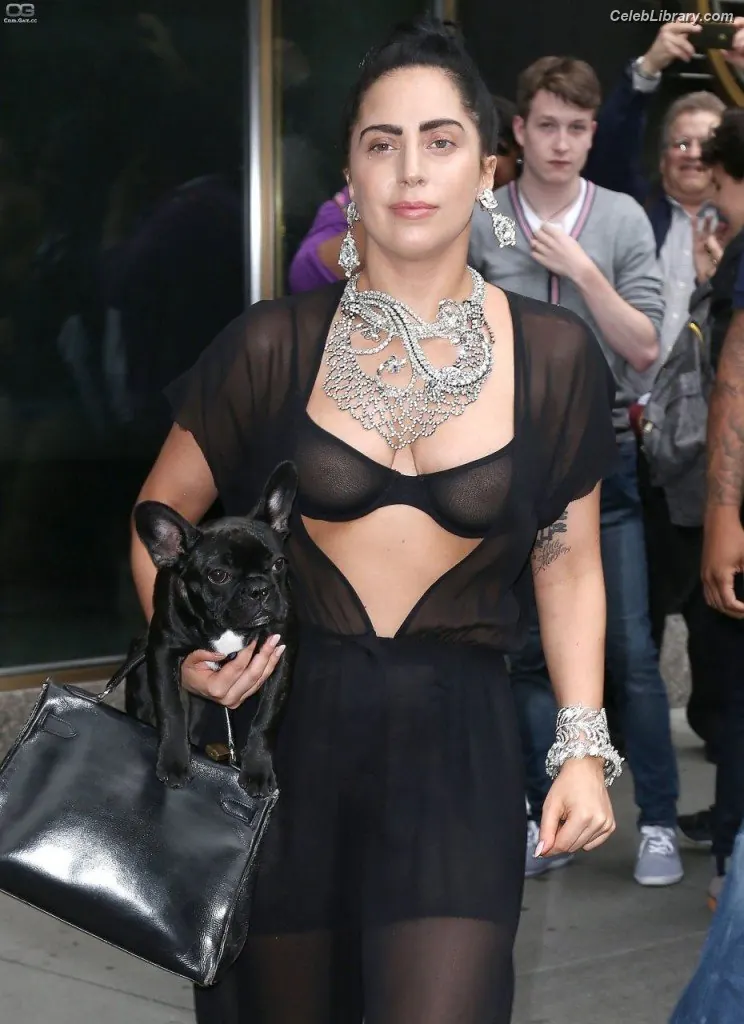 Lady Gaga photo 13 of 3664