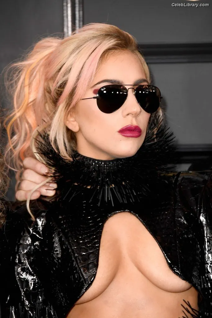 Lady Gaga photo 22 of 3664