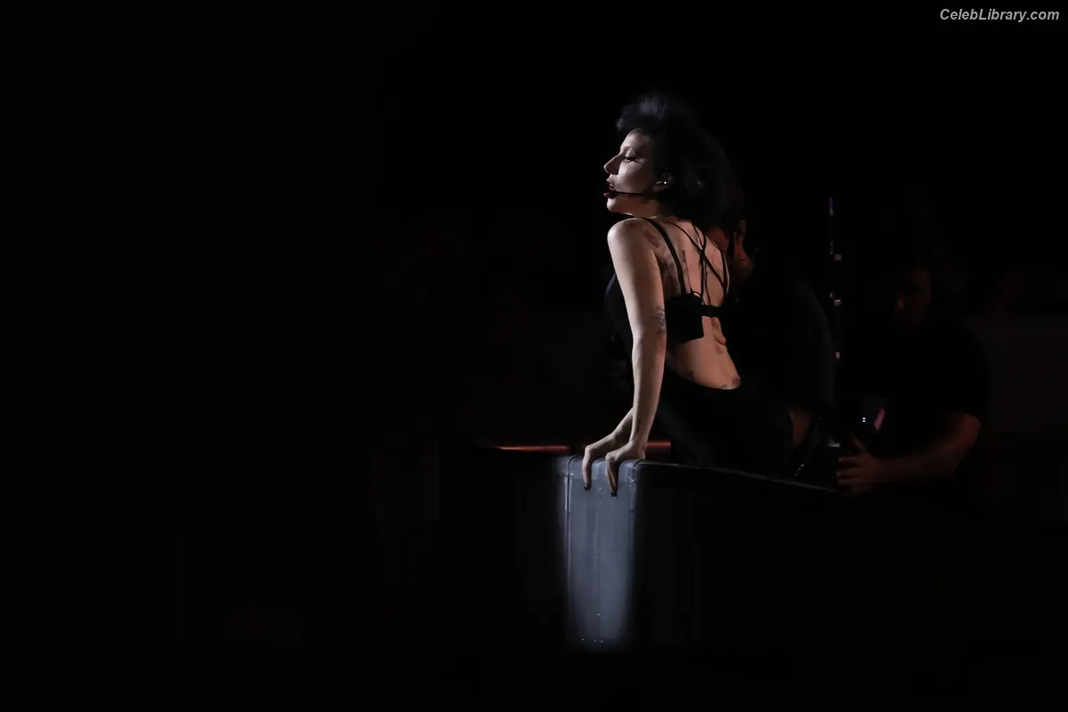 Lady Gaga photo 11 of 3664
