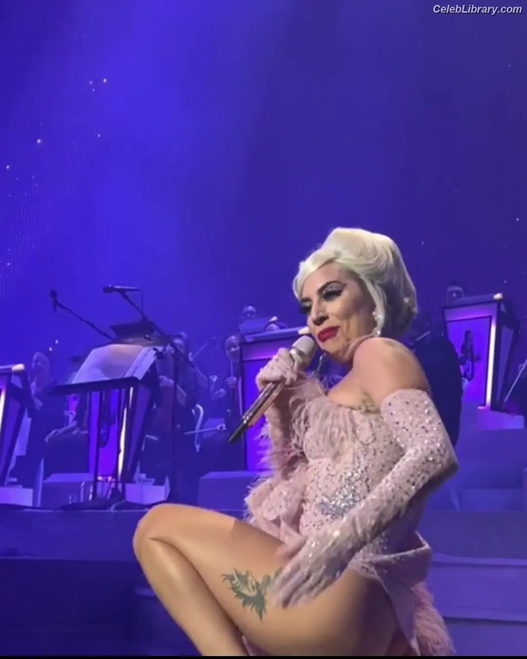 Lady Gaga photo 20 of 3664