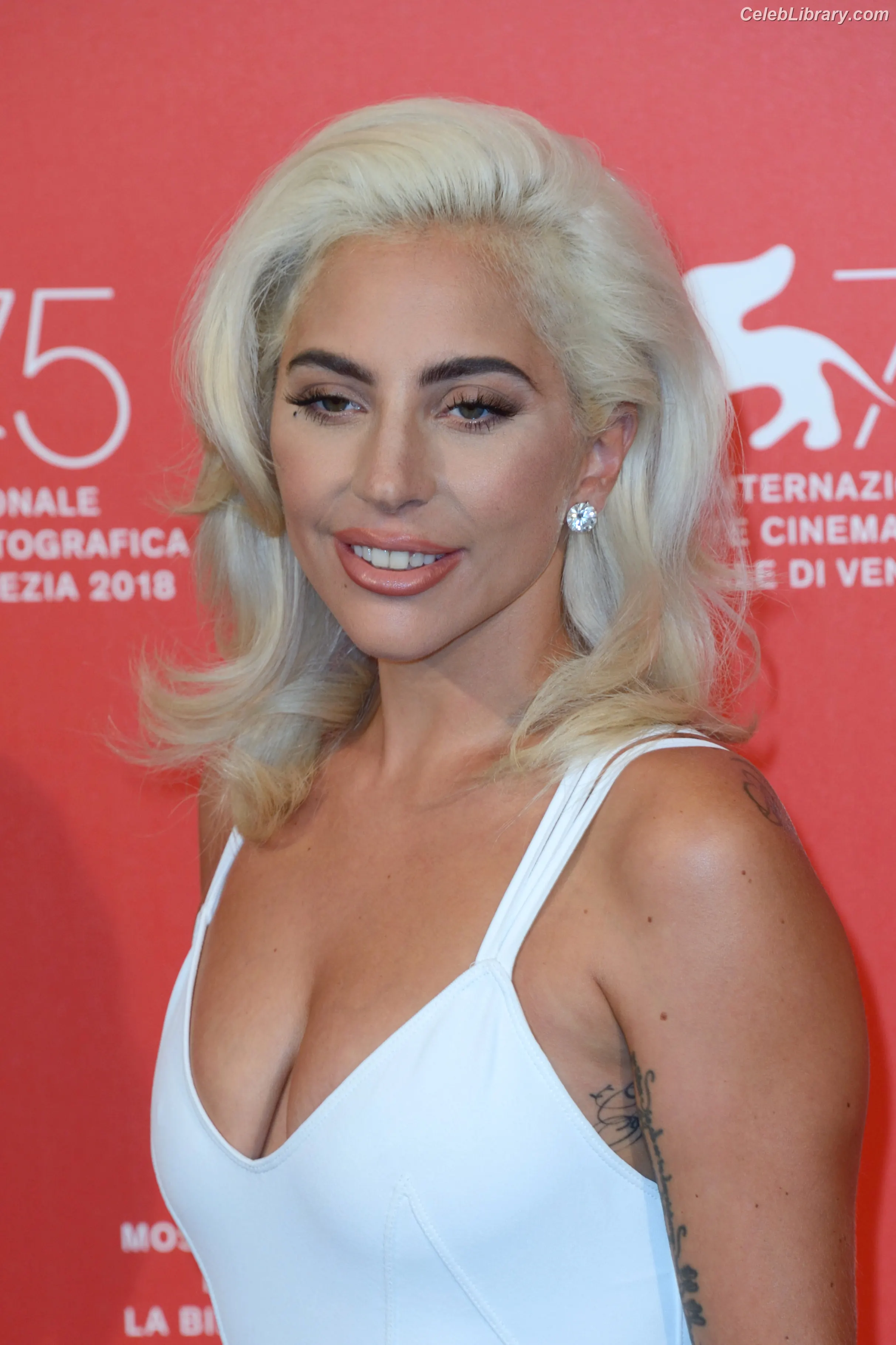 Lady Gaga photo 1 of 3664