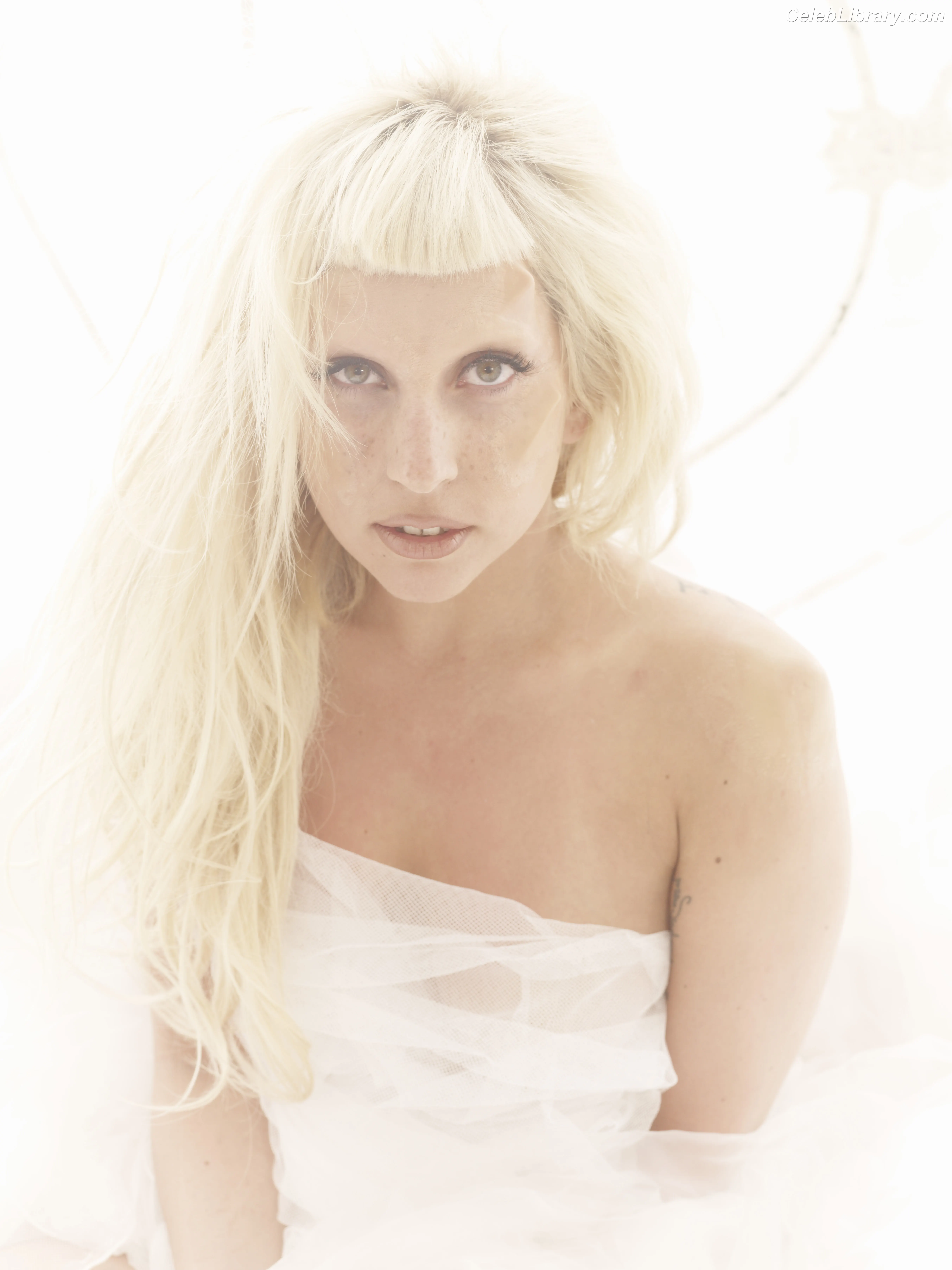 Lady Gaga photo 10 of 3664