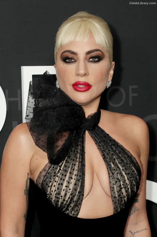 Lady Gaga photo 5 of 1595