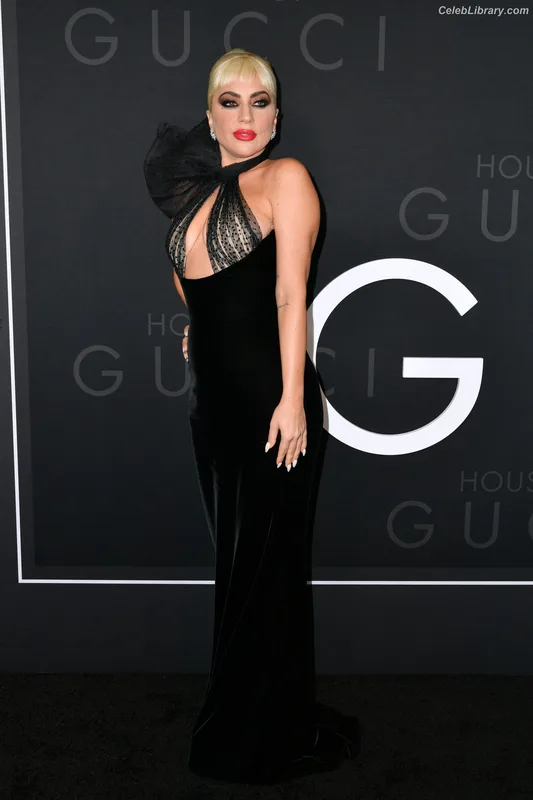 Lady Gaga photo 8 of 1595