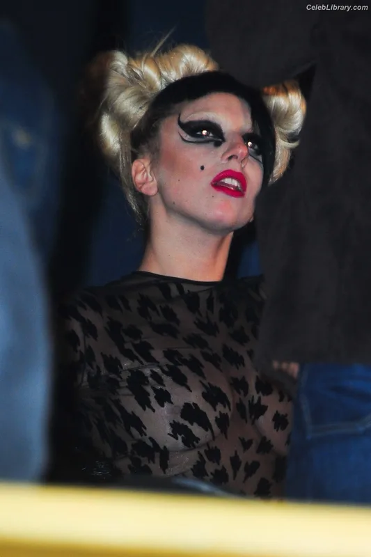 Lady Gaga photo 5 of 1595