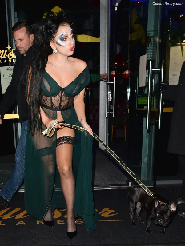 Lady Gaga photo 4 of 1595