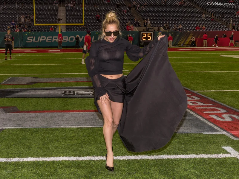 Lady Gaga photo 18 of 1595