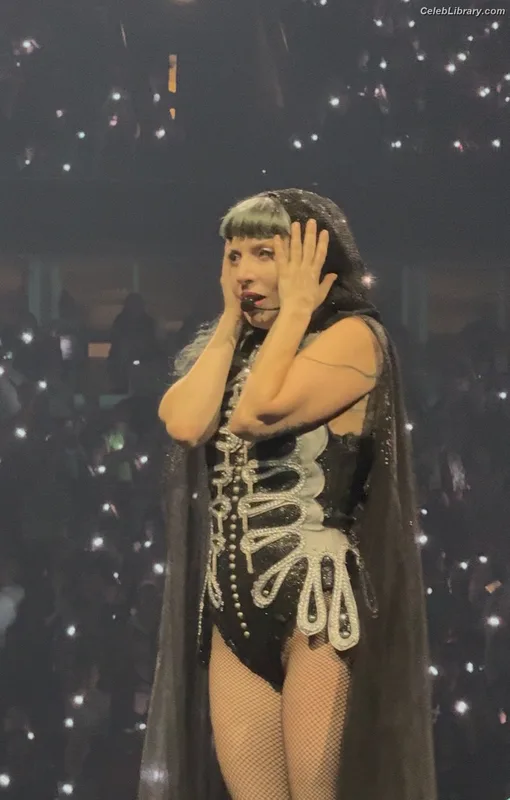 Lady Gaga photo 19 of 1595