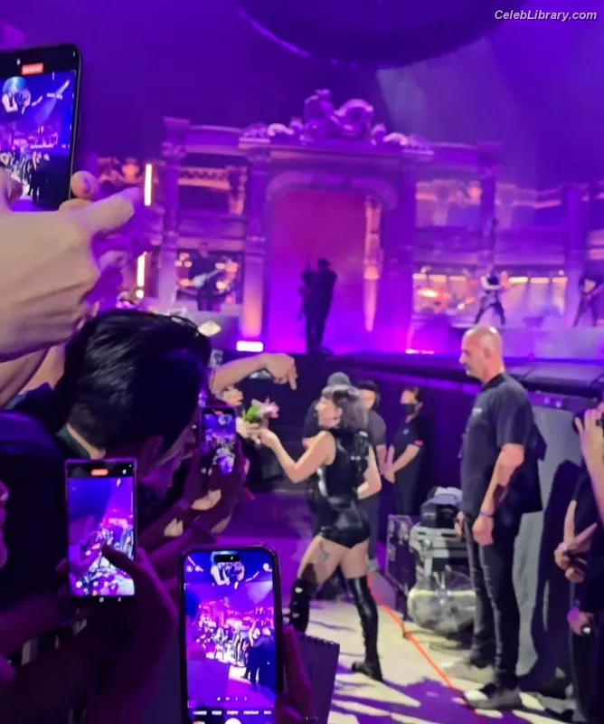 Lady Gaga photo 14 of 1595