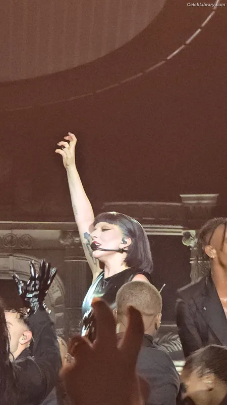 Lady Gaga photo 18 of 1595