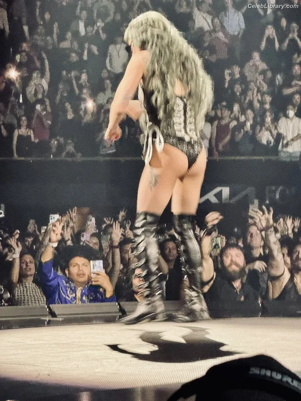 Lady Gaga photo 21 of 1595